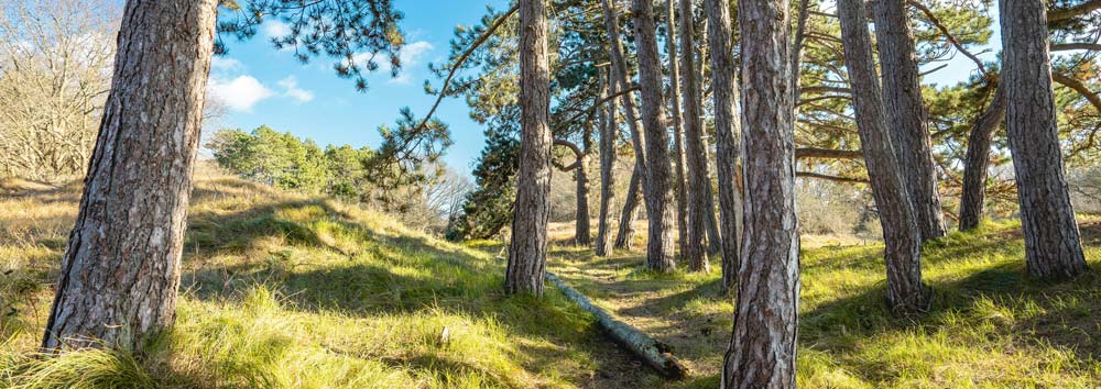 Wassenaar inbraakbeveiliging slotenmaker slot buiten-gesloten meijvogel